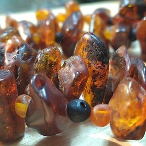 Men women necklace with vintage Baltic amber. About 450 carat